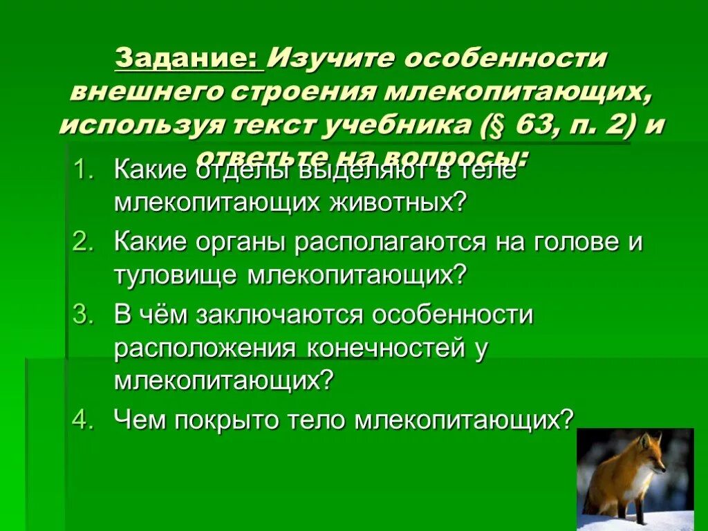 Поведение млекопитающих 8 класс презентация. Особенности внешнего строения млекопитающих. Особенности внешнего строения м. Изучить особенности внешнего строения млекопитающих. Черты строения млекопитающих.