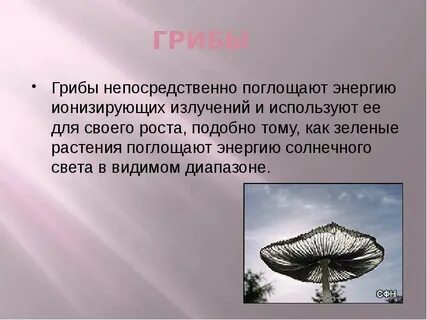 Растения поглощающие излучения