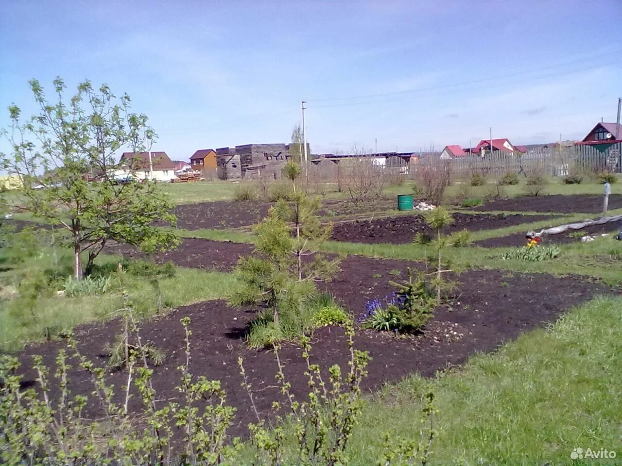 Бердь. Снт бердь. Погода в берди снт новосибирск. Снт бердь. Дсонт бердь карта.
