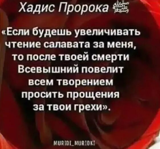 Пророк на пятнице. Салават в пятницу хадис. чтение салавата пророку в пятницу. хадис про салават пророку. салават на пророка в пятницу хадис.