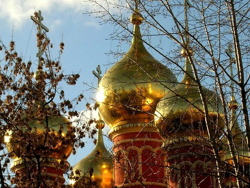 церковный купол соловки. золотые купола серпухов. золотые купола россии. церковь ярославль златоглавая. купол церковь псков.