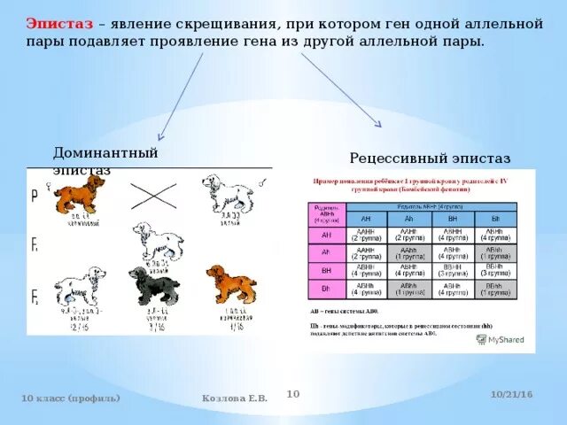 При скрещивании курицы с листовидным гребнем. Задачи на рецессивный эпистаз. Эпистаз генетика. Эпистаз схема скрещивания. Взаимодействие генов новообразования при скрещивании.