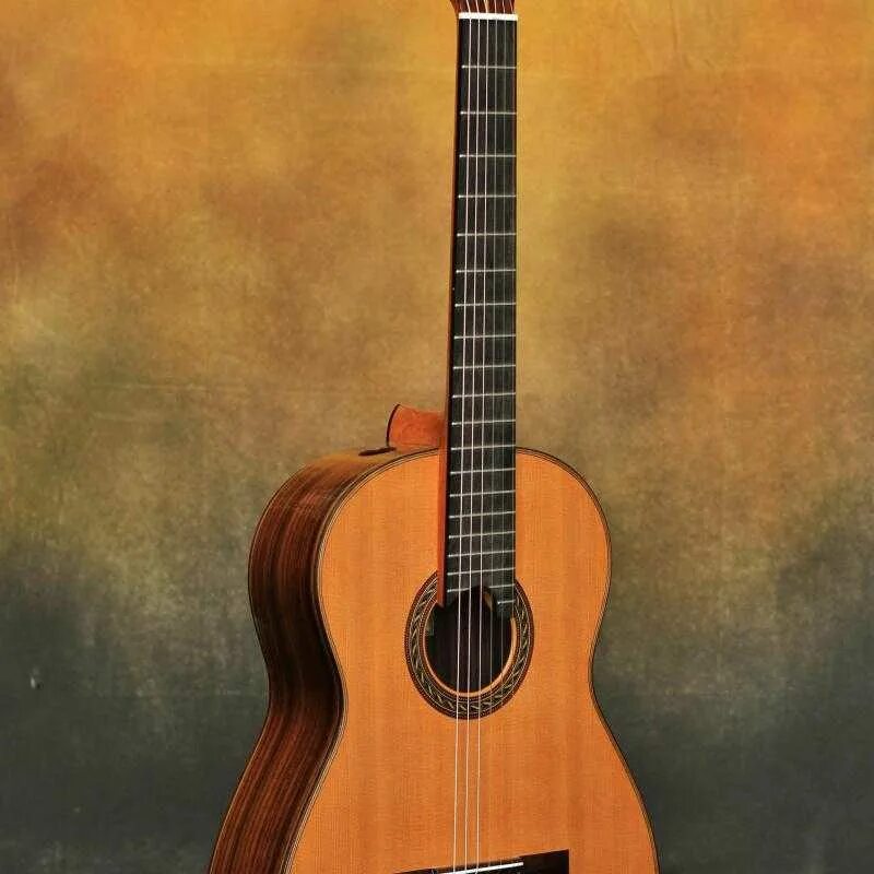 Какая гитара лучше классическая. Оватион classic guitar. красивые гитары. необычные классические гитары. гитара 2025.