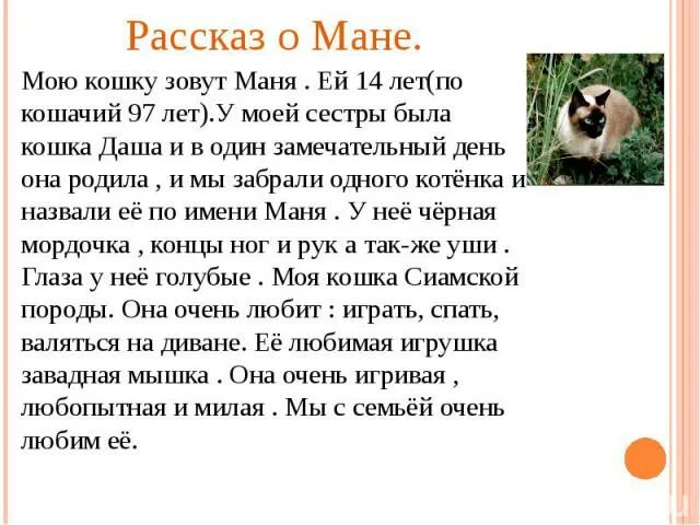 Сочинение на тему моя собака 5 класс. Рассказ о домашнем животном 3 класс литературное чтение о кошке. Рассказ о моей кошке. Сочинение про кошку. Сочинение про домашнего питомца кошку.