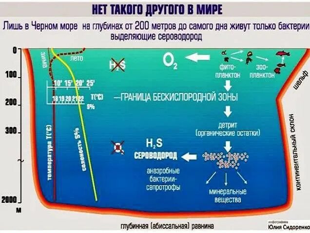 Дно черного моря сероводород. Черное море метан сероводород. Черное море сероводород на глубине. Залежи метана на дне черного моря.