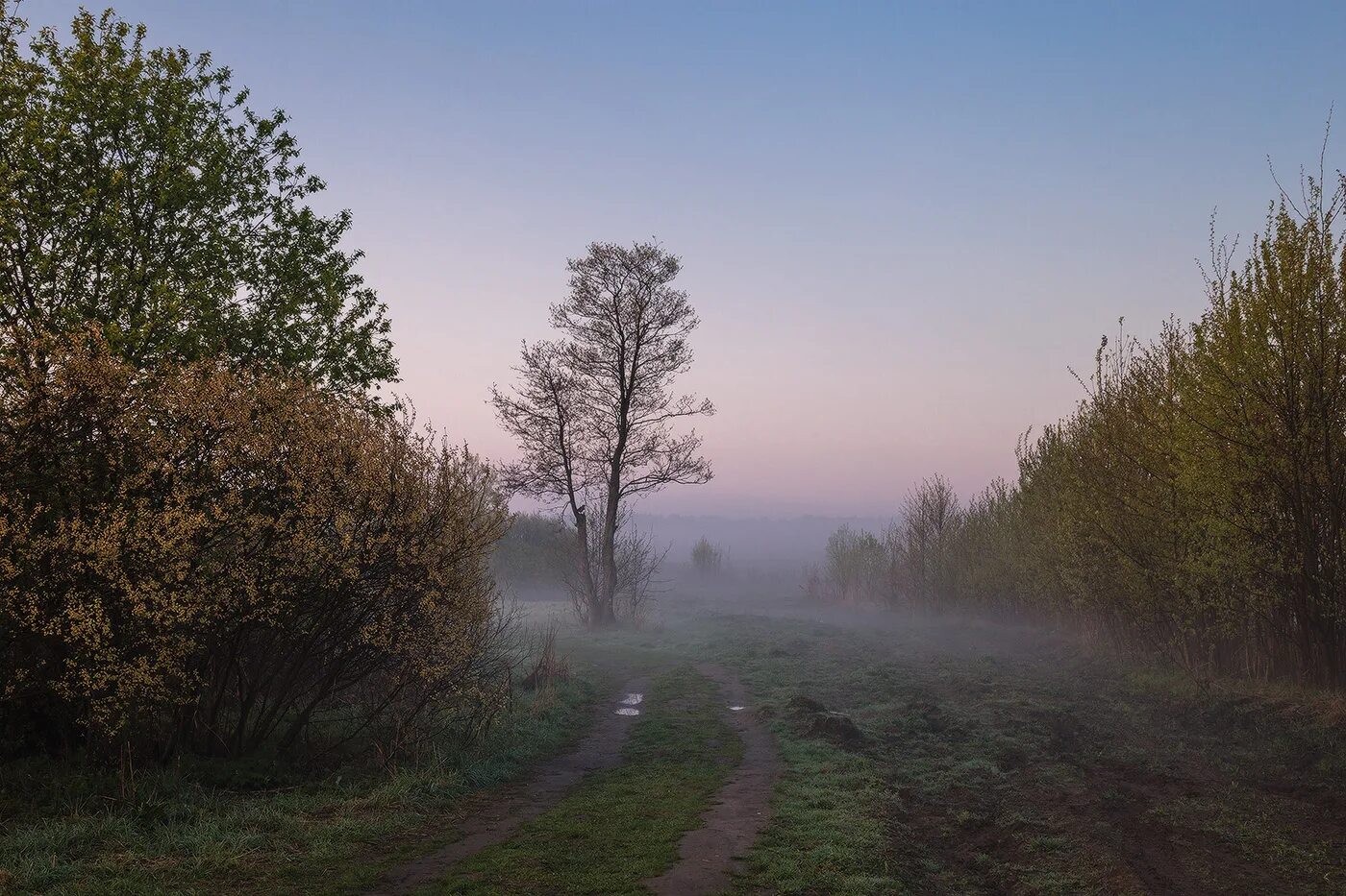 Песни по утрам за туманами. Туманное утро в сентябре. Фото туман в весеннем Мценске.