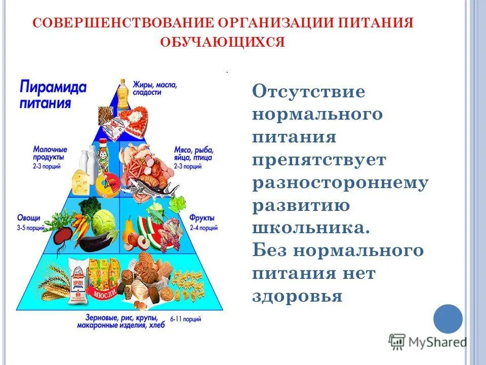 Организация питания. Оцените организацию питания школьников. По организации питания обучающихся. Организация горячего питания учащихся. Уровни организации питания