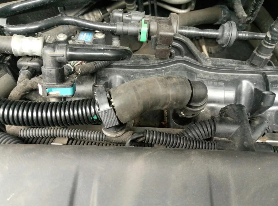 Картерные газы инсигния