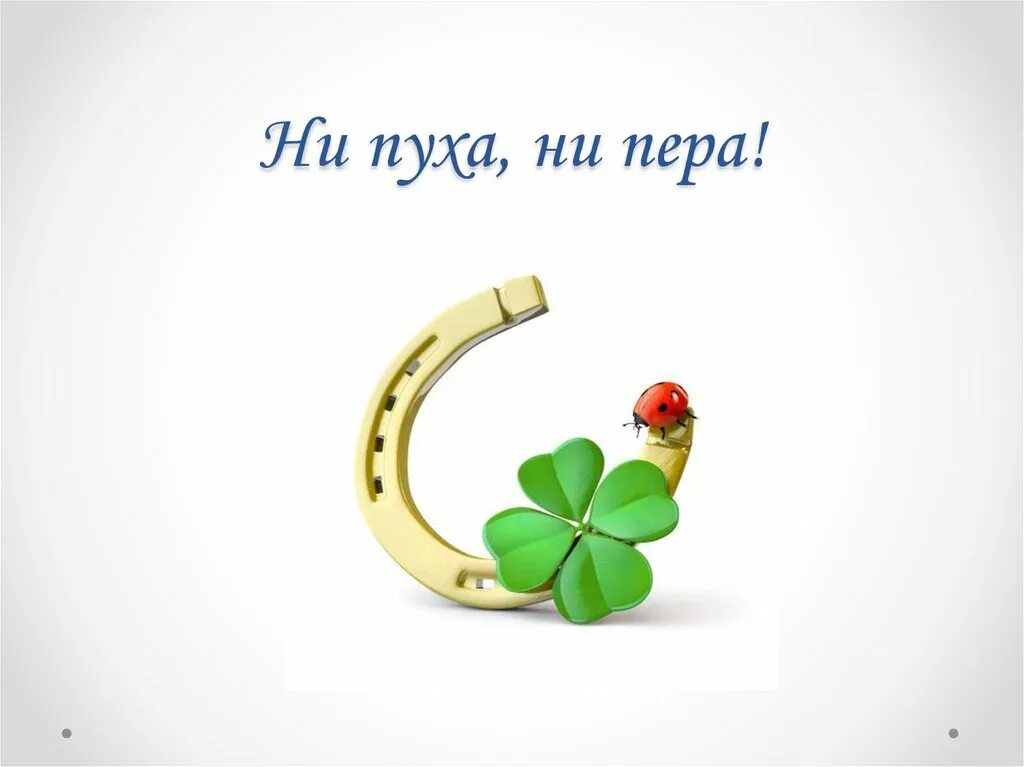 Выражение ни пуха ни пера. Ни пуха ни пера.