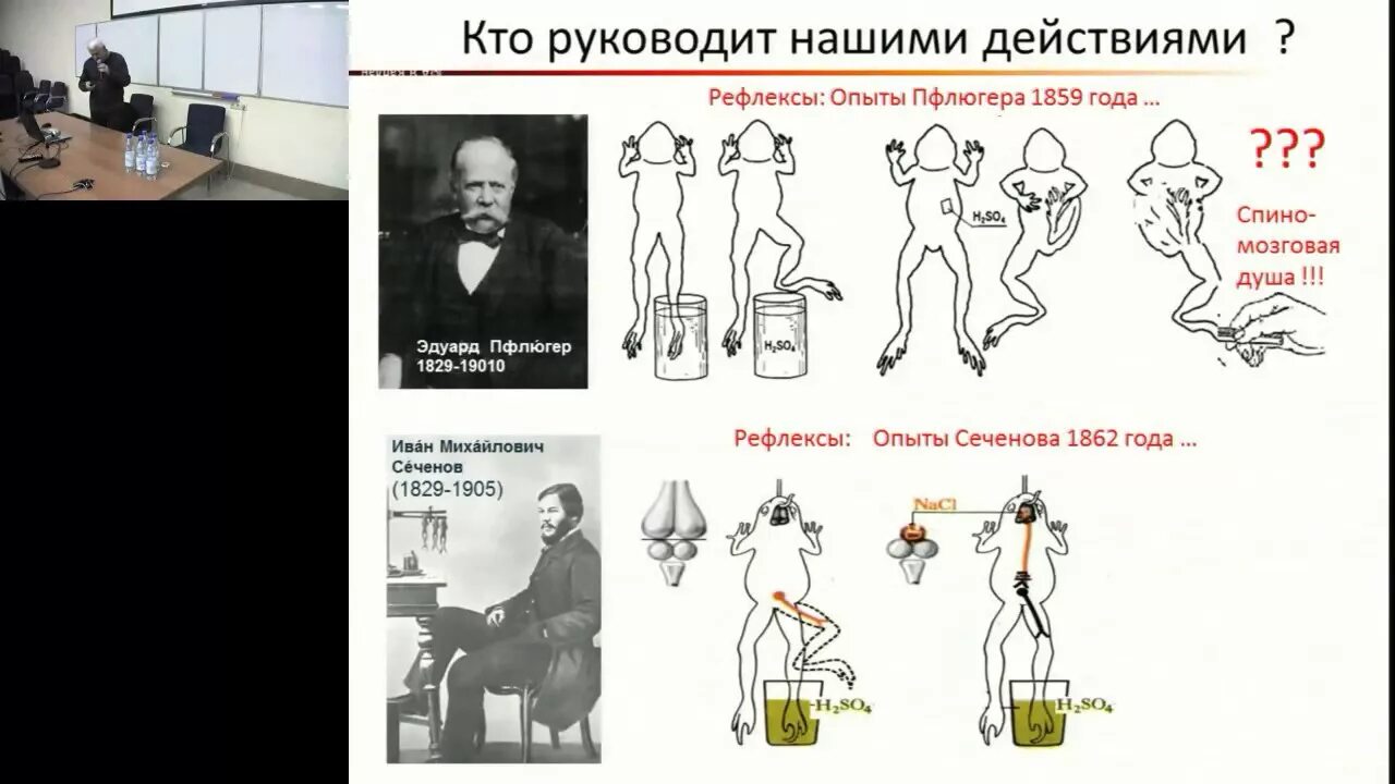 Сеченов рефлексы. Рефлексы головного мозга Сеченов. Рефлексы головного мозга основной труд и.м Сеченова. Кому и как разрабатывать психологию. Сеченов рефлексы мозга