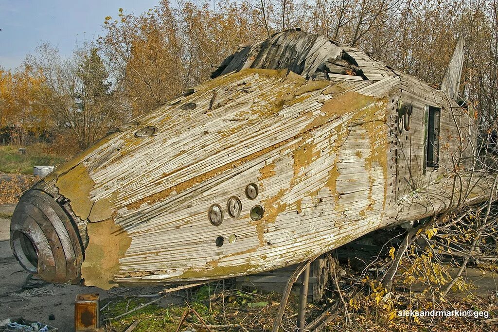 Из этих деревьев раньше делали корабельные