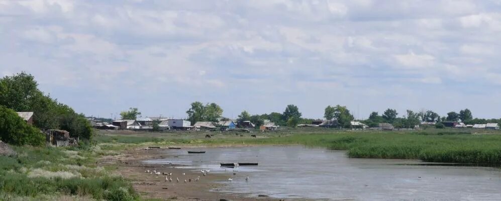 Акмолинская область село. Казахстан село отрадное акмолинской области. село никольское казахстан. ельтай акмолинская область. село никольское целиноградская область.
