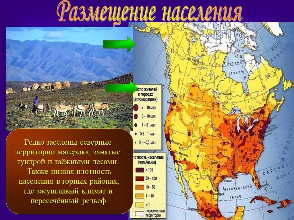 Плотность максимальная и минимальная материка северная америка. Карта плотности населения Северной Америки. Наименее заселённые территории Северной Америки на карте. Плотность населения Северной Америки. Плотность населения Северной Америки 7 класс.