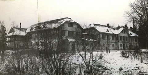 Jarvikala сортавала