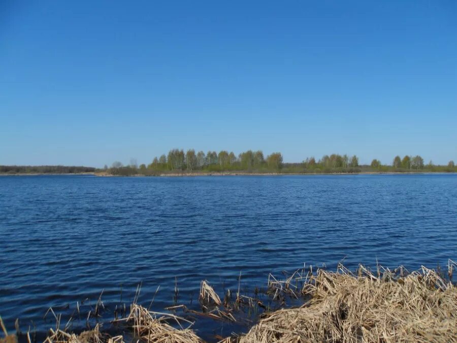 озеро спасское нижегородской области. спасское болото ярославская область. спасское озеро липецкая область. владимир юрьевец спасское озеро. спасское озеро городец.