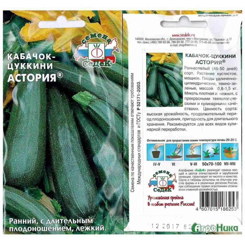 Цукини сорта для открытого. Кабачок цуккини астория семена описание. кабачки цукини семена лучшие сорта для открытого грунта. кабачки цукини семена лучшие сорта. семена кабачок-цуккини астория седек f1.
