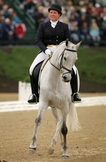 Известные лица конного спорта. Известный всадник 2022 фото. 3 day eventing