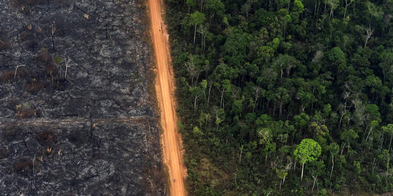 Вырубленные тропические леса Латинской Америки. Обезлесение Бразилии. Вырубка тропических лесов Амазонии. Вырубка леса в Амазонии. Проблема тропического леса