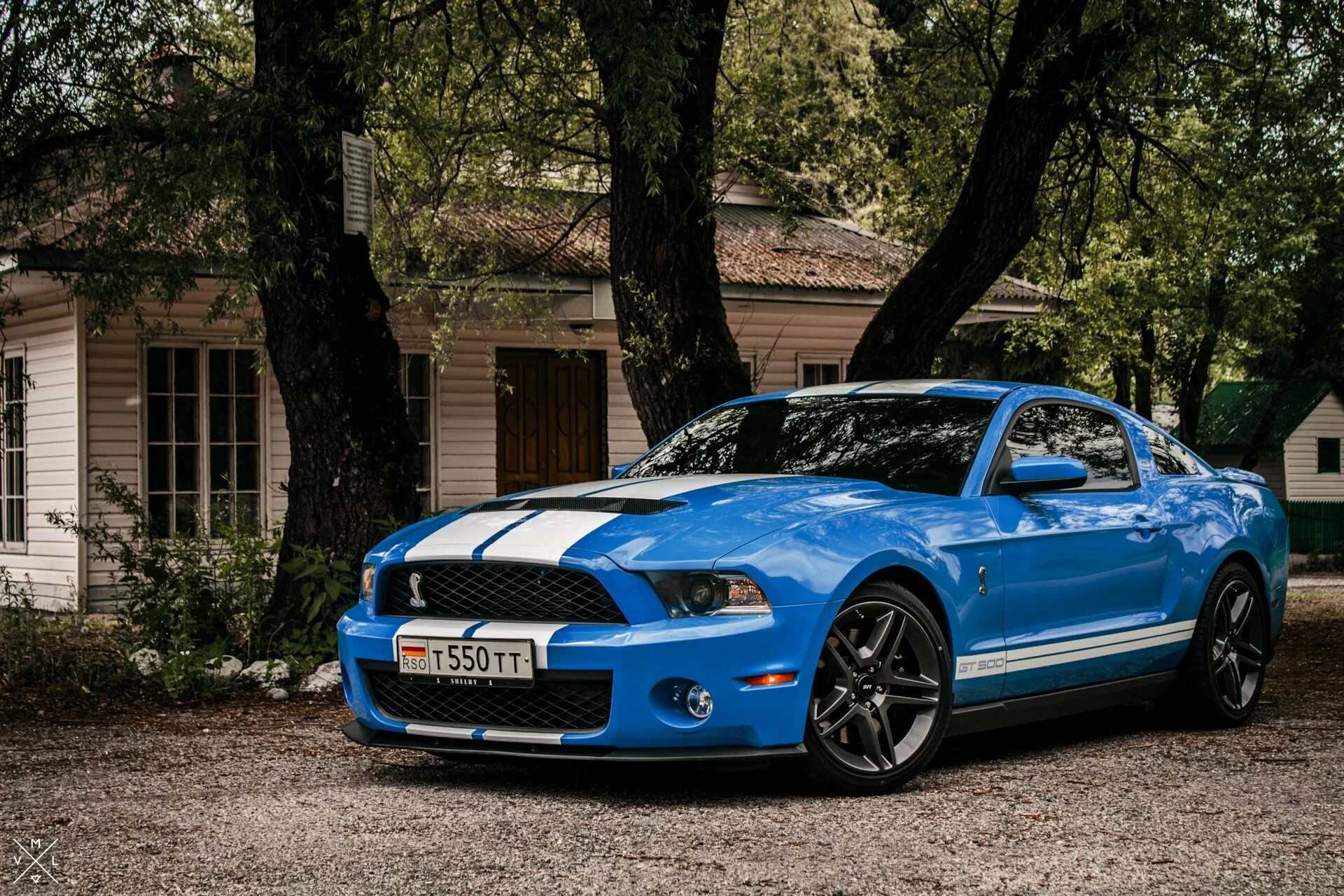 Мустанг джити. Ford Shelby gt500. Mustang Shelby gt500. Ford Mustang Shelby gt500 2022. Ford Mustang Shelby gt500 оранжевый.