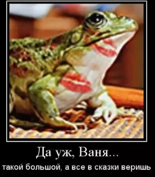 Веришь не веришь в сказку поверишь откуда. Откуда песня веришь не веришь в сказку. Откуда песня веришь не веришь в сказку. Верить в сказки прикол. Верь в сказку.
