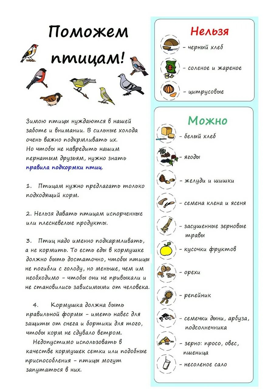 Чем можно кормить птиц зимой в кормушке. Таблица кормления птиц зимой. Каким кормом можно кормить зимующих птиц. Чем кормить птиц зимой в кормушках таблица. Можно ли птицам крупу