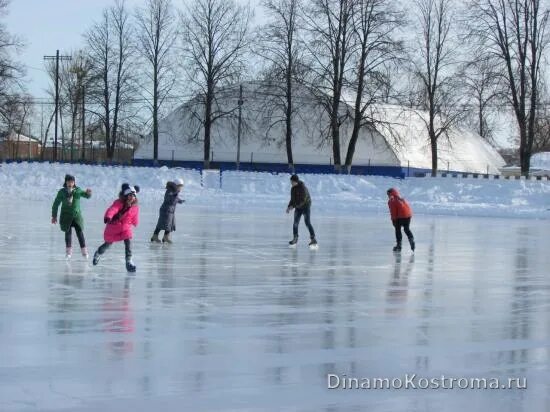 каток динамо кострома расписание