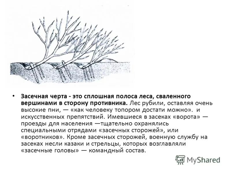 Засеки минута 30. Засечная черта Белгород на границе. Засечная черта карта. Засека Засечная черта. Засечные черты 16-17 века.