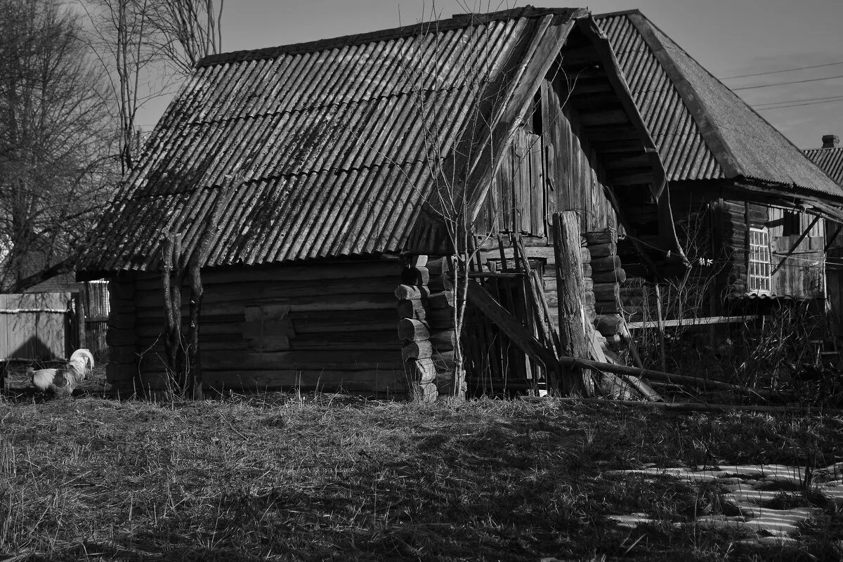 Деревенский б г. Старинная деревня. Старая черная деревня. Старый деревянный дом. Старенькая деревня.