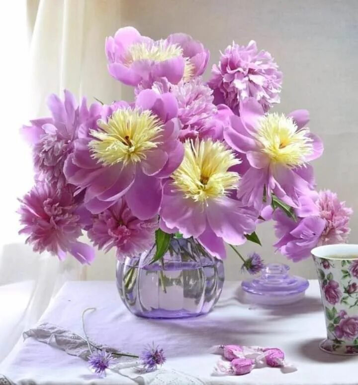 Бесплатные открытки субботний день. Хорошего настроения и удачного дня цветы. Прекрасного дня цветы. Цветы с добрыми пожеланиями. Чудесного утра.