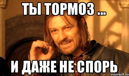 Не спорь со взрослыми. Ты тормоз. Мемы про тормозов. Ну ты тормоз. Человек тормоз.