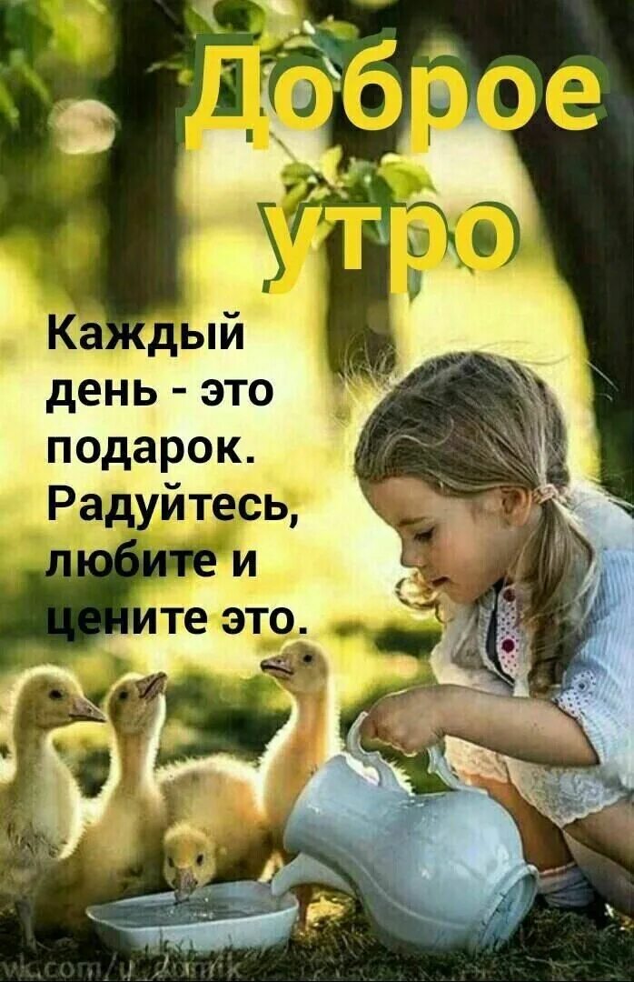 Та доброта которая в ней есть. Дети и природа. о доброте. дети и животные доброта. доброта и простота.