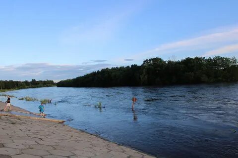 Уровень биры в биробиджане на сегодня