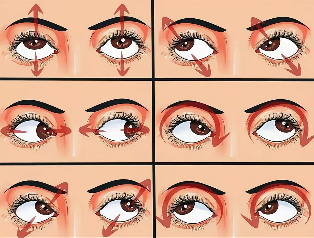 Гимнастика для глаз по норбекову для детей. Идеальные стрелки. Как научиться делать глаза. Красивые стрелки на глазах пошагово. Идеальные стрелки.