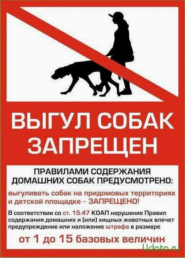 Где запрещен выгул собак