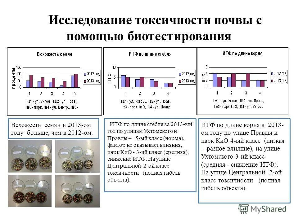 Токсичность почв. Критерии биотестирования почв. Исследование токсичности. Показателей токсичности для почвы.