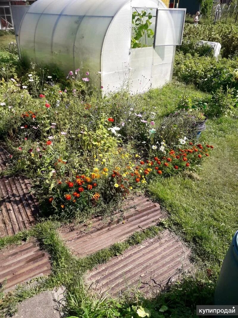 Снт мечтатели пенза. Дачи на золотой горке в новосибирске. Снт сибиряк девятнадцатая улица. Новородниковый новосибирск южный. "продам дачу 1-я линия снт-7  "89065495246" конаково".