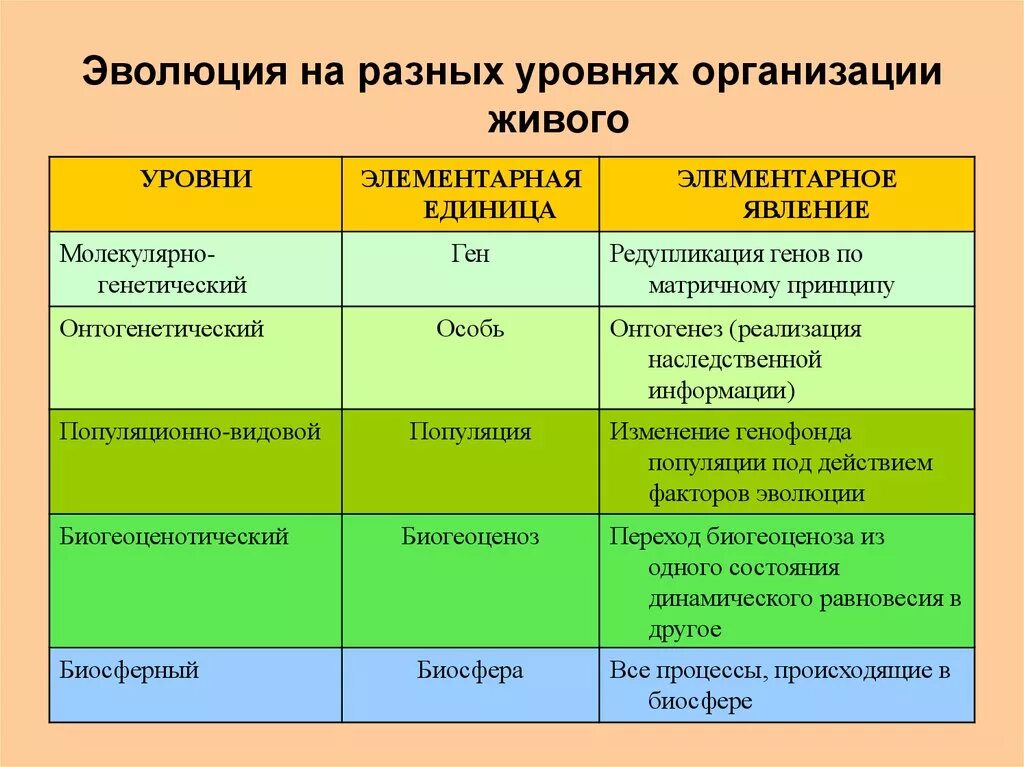 Перечислить биологические системы. Эволюционно-обусловленные и структурные уровни, организации живого. Эволюционно-обусловленные уровни организации жизни. Эволюция уровень организации. Эволюционно обусловленные уровни организации жизни на земле.