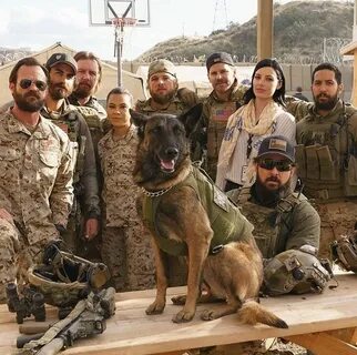 Team dogs