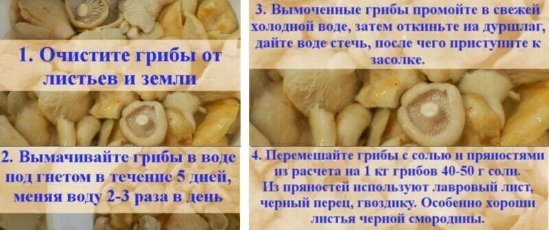 Засолка грибов универсальный. Грибы которые отмачивают. Презентация соленые грибы. Правила засолки грибов. Грибы на 1 литр воды