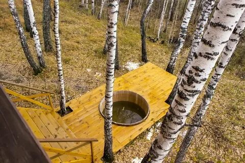 Кедровая заимка томск