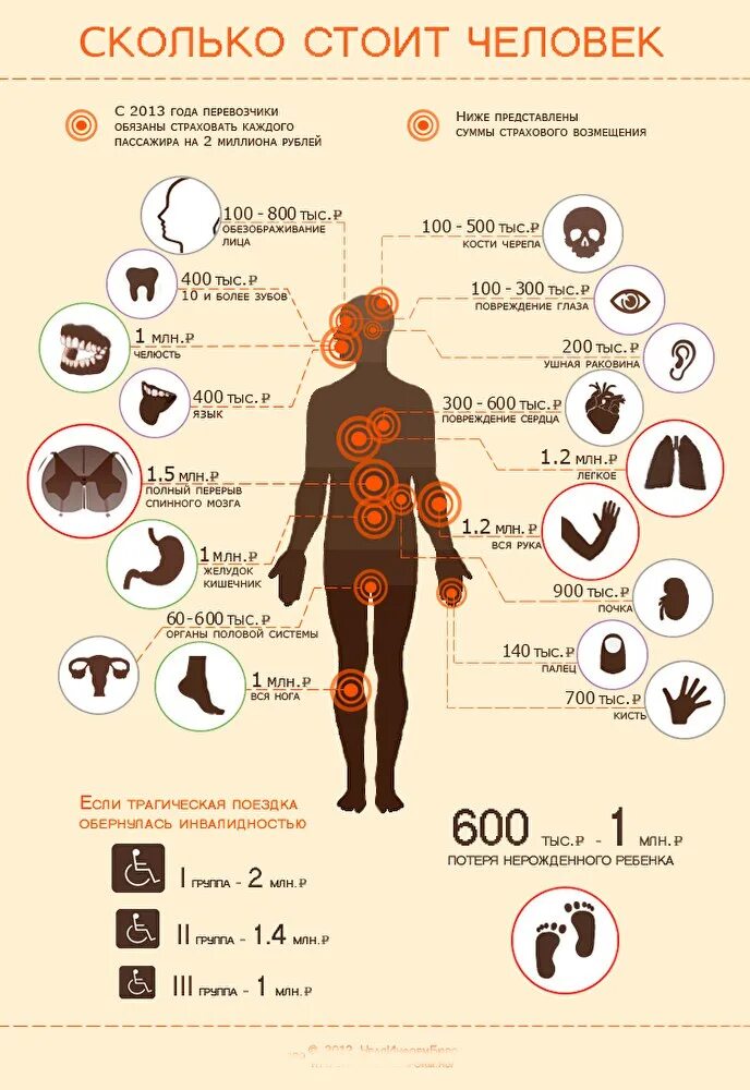 Сколько стоят органы человека. Сколько стоит человек. Колько сточт органы человека. Стоимость человеческих органов. Сколько стоит народ