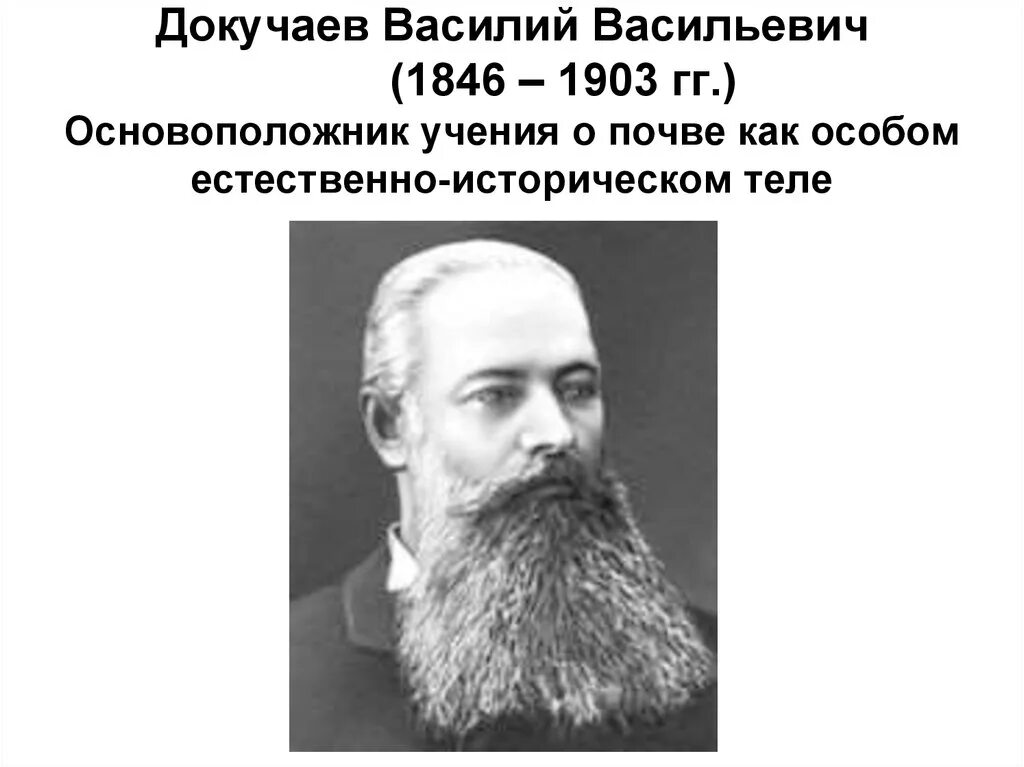 Докучаев назвал почву зеркалом природы