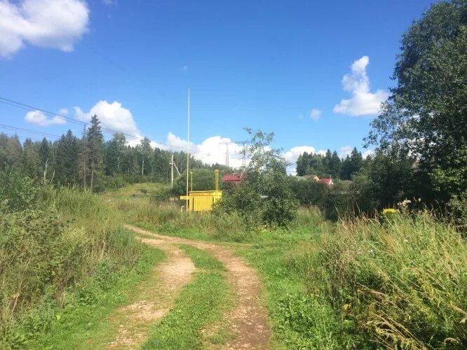 Продам землю в городе. СНТ Никольское 94 Солнечногорский район. Деревня Льялово Солнечногорский район. СНТ конструктор 2 Матренино. Садовое товарищество Никольское-94.