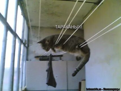 Зачем вешать