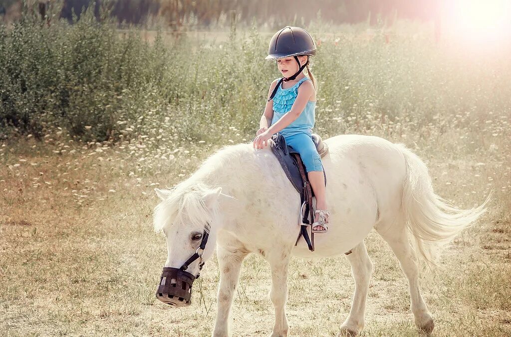 Лошадь настя. Аниме девушки на лошадях. Включи девочка конь. Девочка на лошади. Девушка с лошадью.