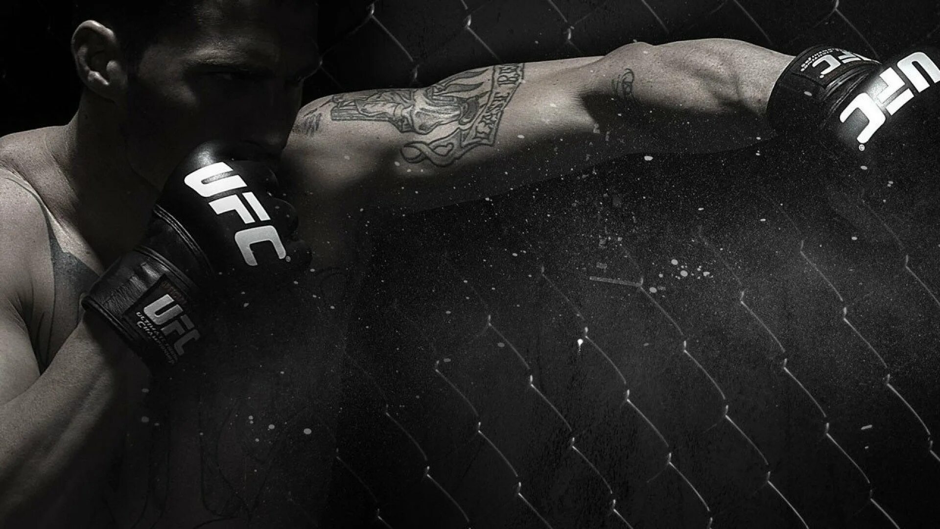Юфс стим. Ufc mma. фон юфс боец. фон мма юфс.