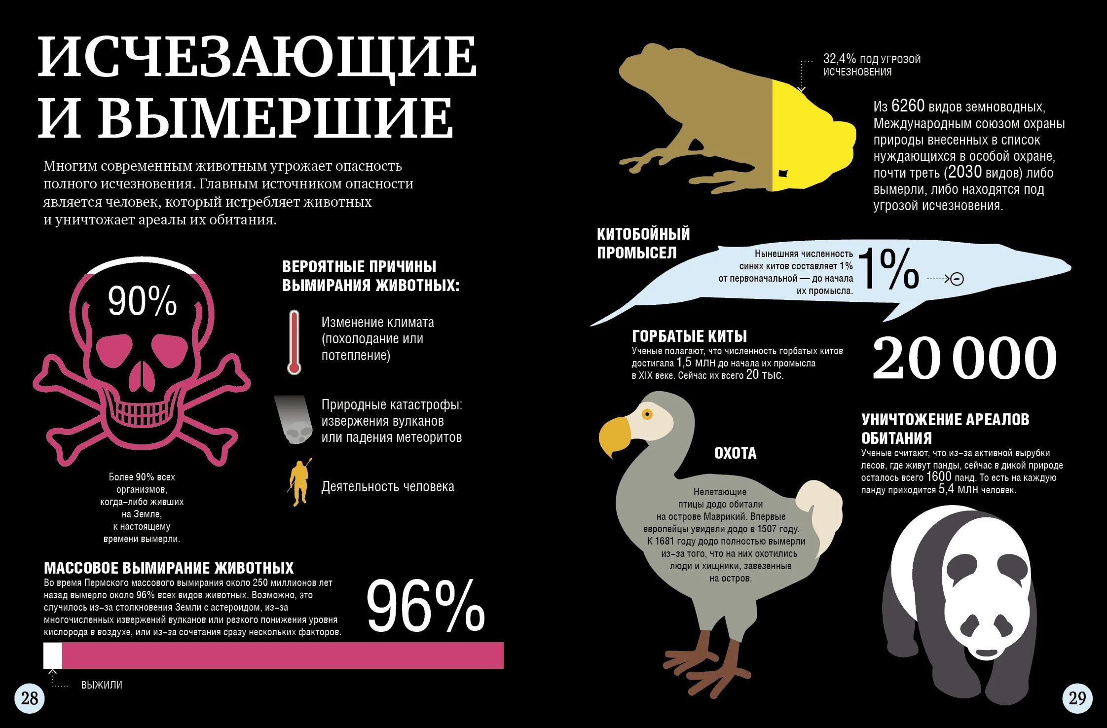 Почему рыбе луне не угрожает вымирание