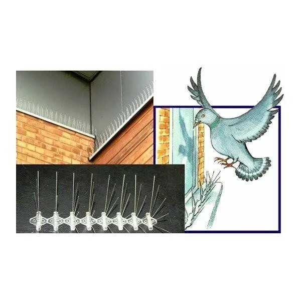 Гнездо воробья под крышей. Каркас для софитов под крышей. Птица живущая под крышей дома. Как избавиться от воробьев под крышей дома. Воробей под крышей.