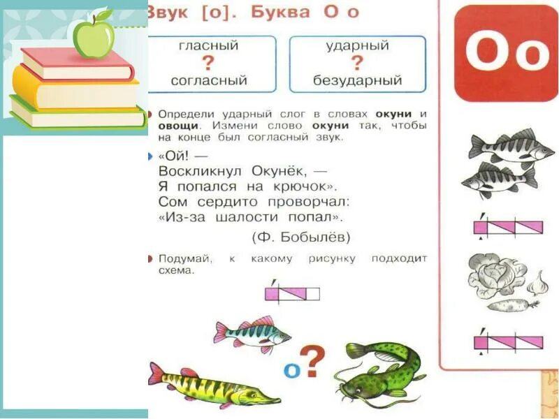 Ударный слог в слове окунь