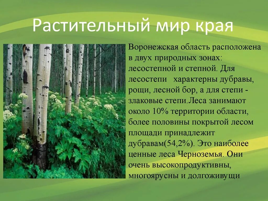 Сообщение о растении родного края 3 класс. Растительный мир воронежской области. растительный мир воронежского края. растительный мир мир воронежского края-. растительный мир воронежской обл,,.